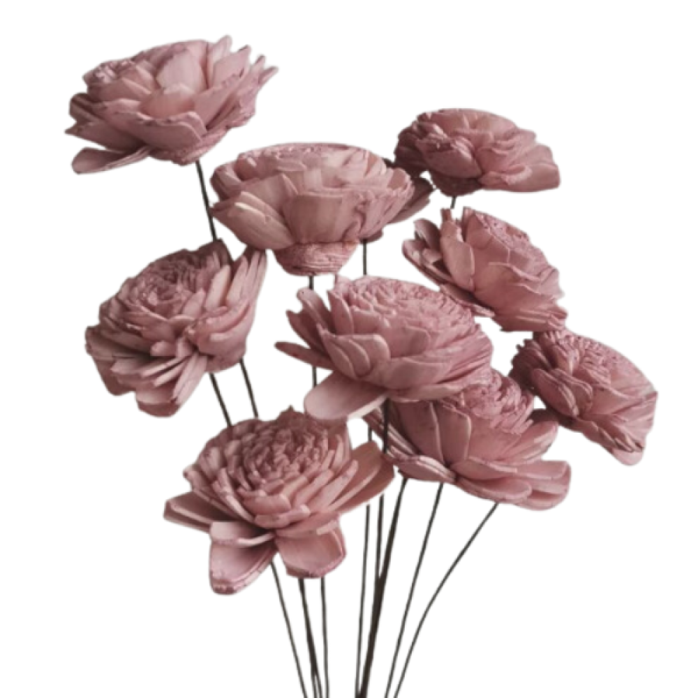 Pink Sola Flower | Flower Size 4 CM